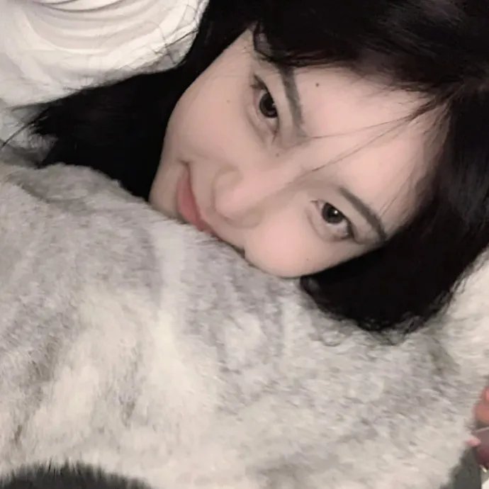 白玫瑰
