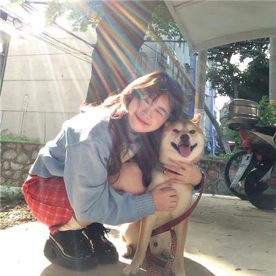 犬饲先生养狗记